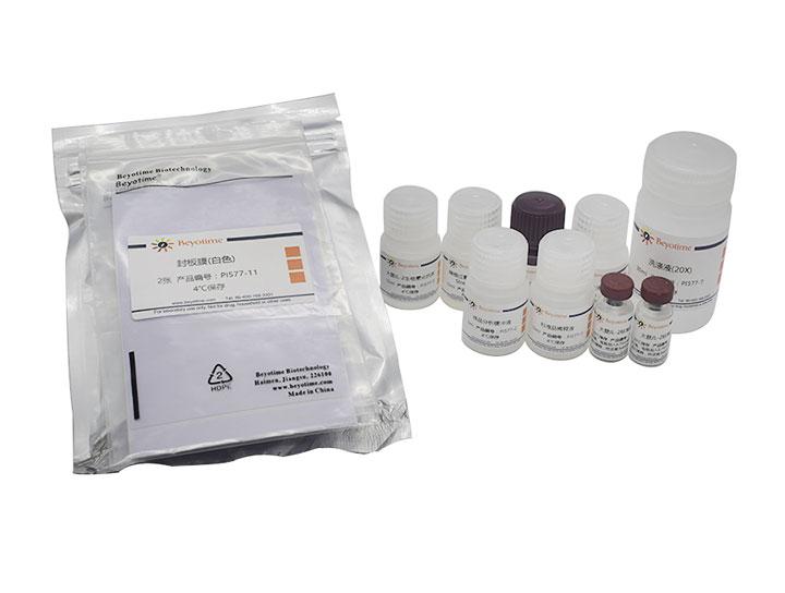 Rat IL-2 ELISA Kit